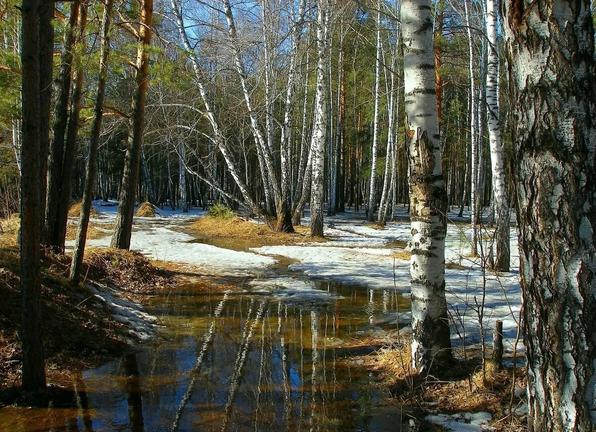 Наступила весна картинки